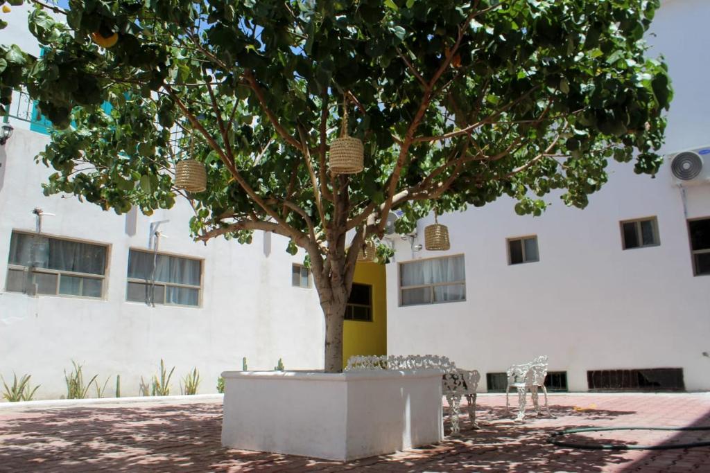 Hotel Casa Hidalgo Hotel Casa Hidalgo