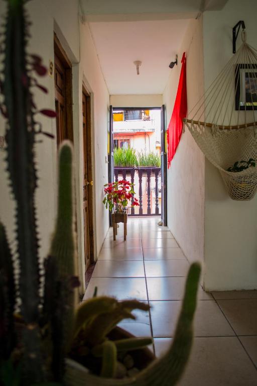 Hotel Casa Mia Hotel Casa Mia