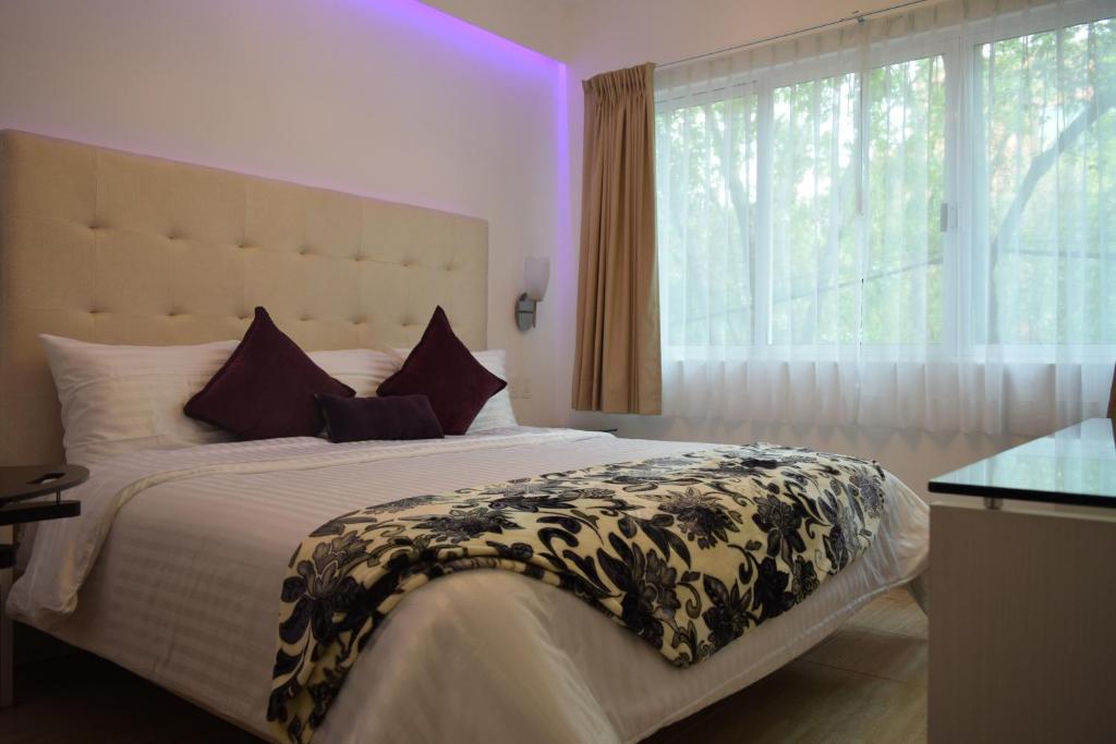 Hotel Condesa 185 Hotel Condesa 185