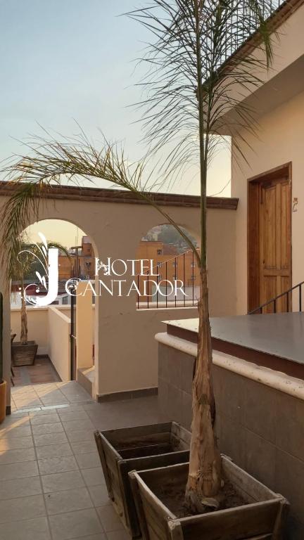 Hotel Jardín del Cantador Hotel Jardín del Cantador