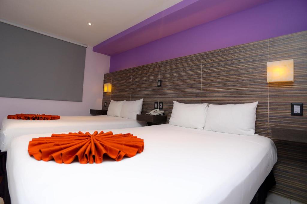 Hotel Kavia