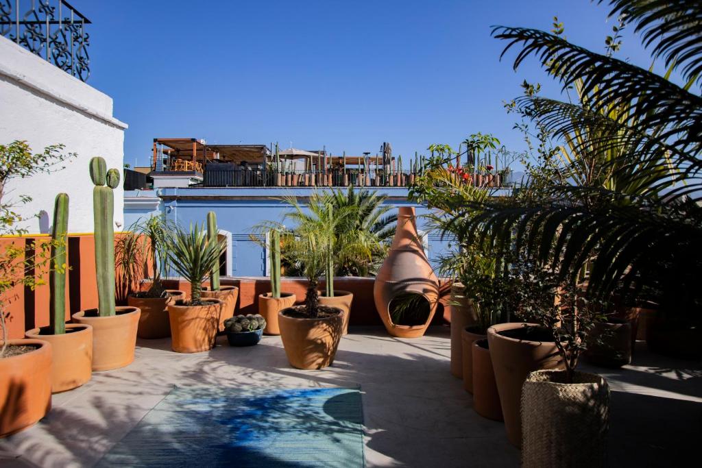 Hotel Los Amantes Hotel Los Amantes