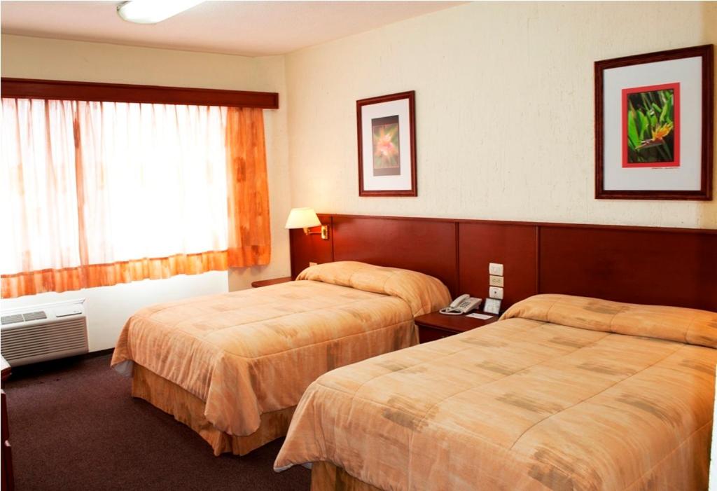 Hotel Marcella Clase Ejecutiva Hotel Marcella Clase Ejecutiva