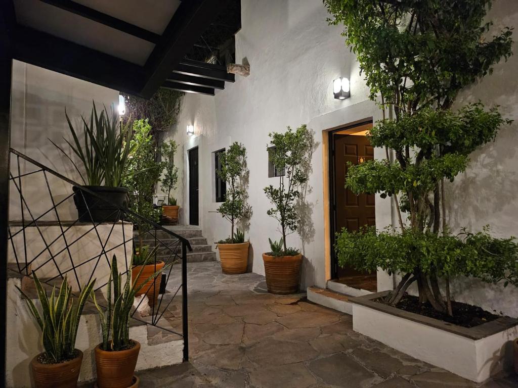 Hotel Maria Bonita Hotel Maria Bonita