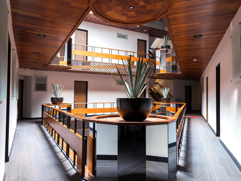 Hotel Marti