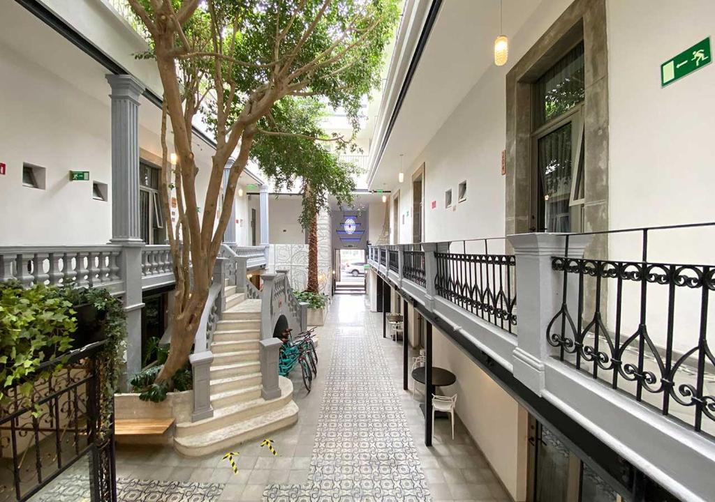 Hotel MX condesa Hotel MX condesa