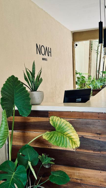 Hotel Noah Tulum