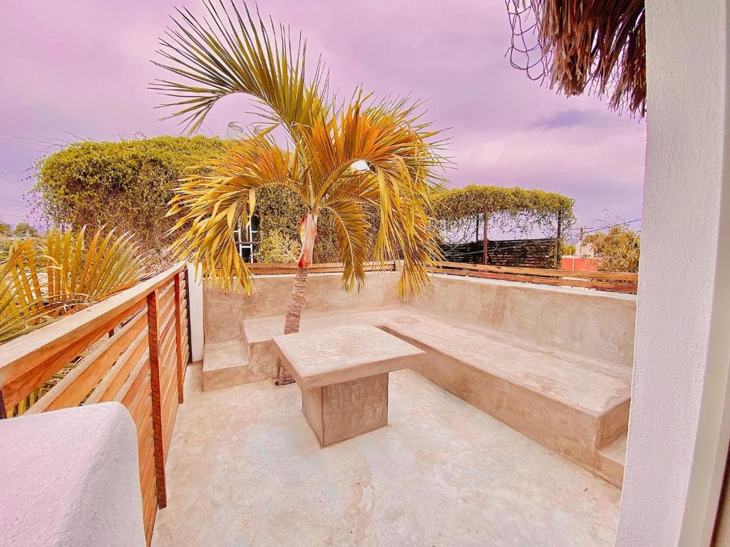 Hotel Perro Surfero Todos Santos Hotel Perro Surfero Todos Santos