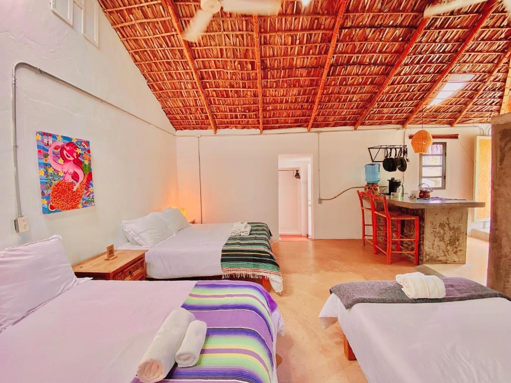 Hotel Perro Surfero Todos Santos Hotel Perro Surfero Todos Santos