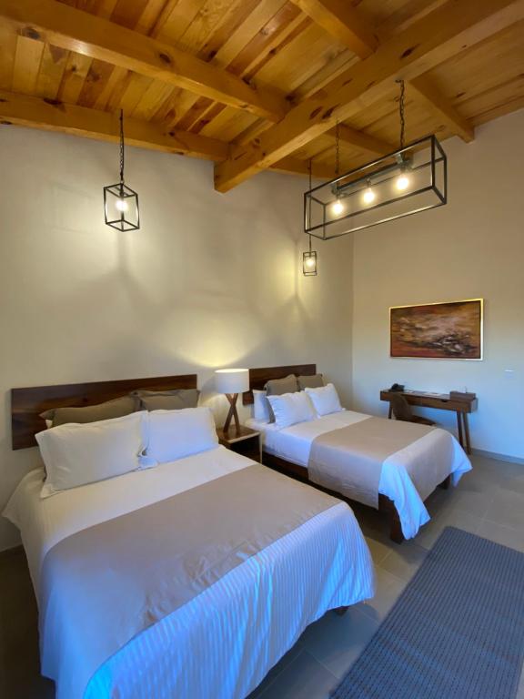 Hotel Quinta del Bosque Hotel Quinta del Bosque