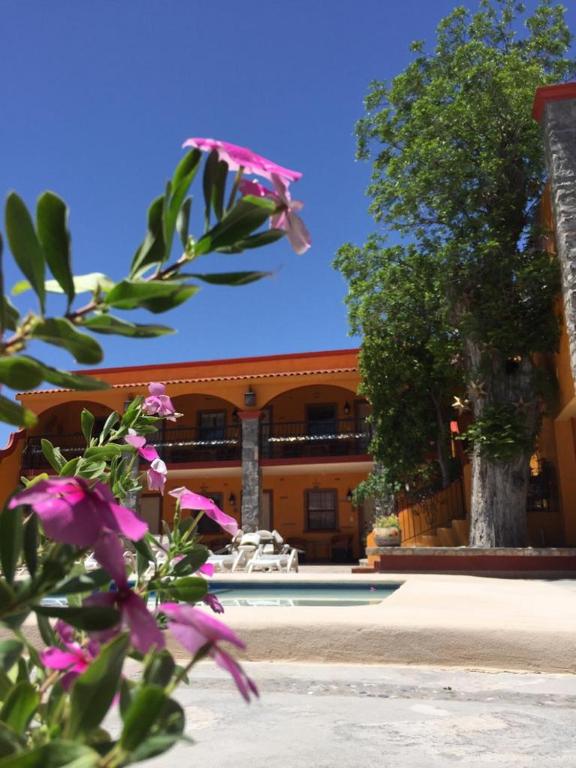 HOTEL QUINTA SANTA CECILIA HOTEL QUINTA SANTA CECILIA