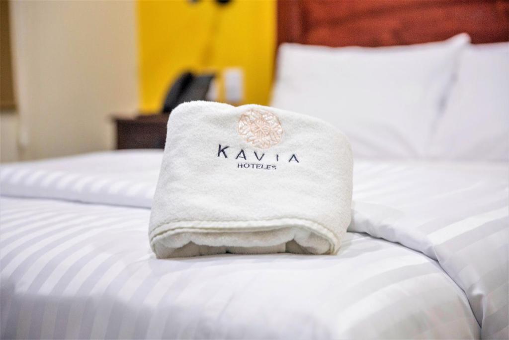 Hotel Real Toledo by Kavia Hotel Real Toledo by Kavia