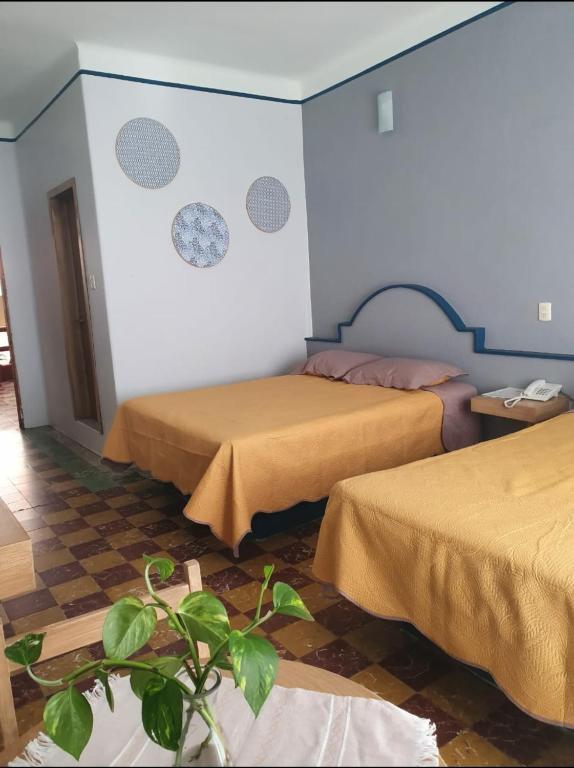 Hotel Rivera