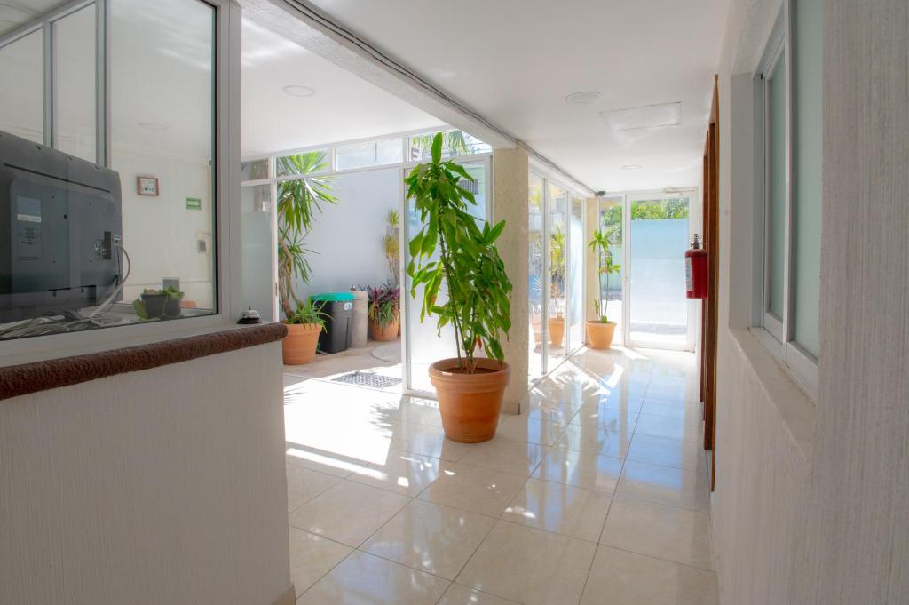 Hotel Turquesa