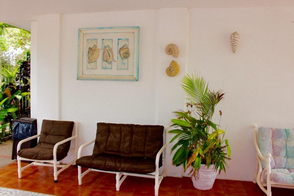 Hotel y Suites Corita Hotel y Suites Corita