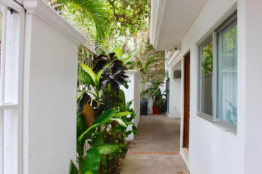 Hotel y Suites Corita Hotel y Suites Corita