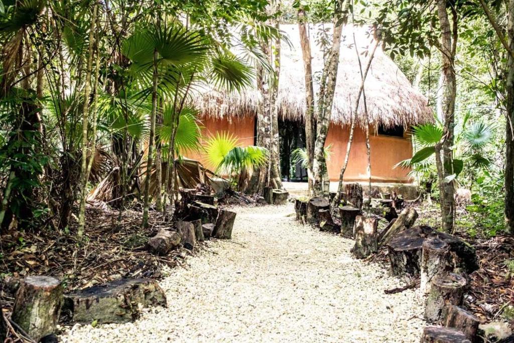 Jolie Jungle Eco Hotel Jolie Jungle Eco Hotel