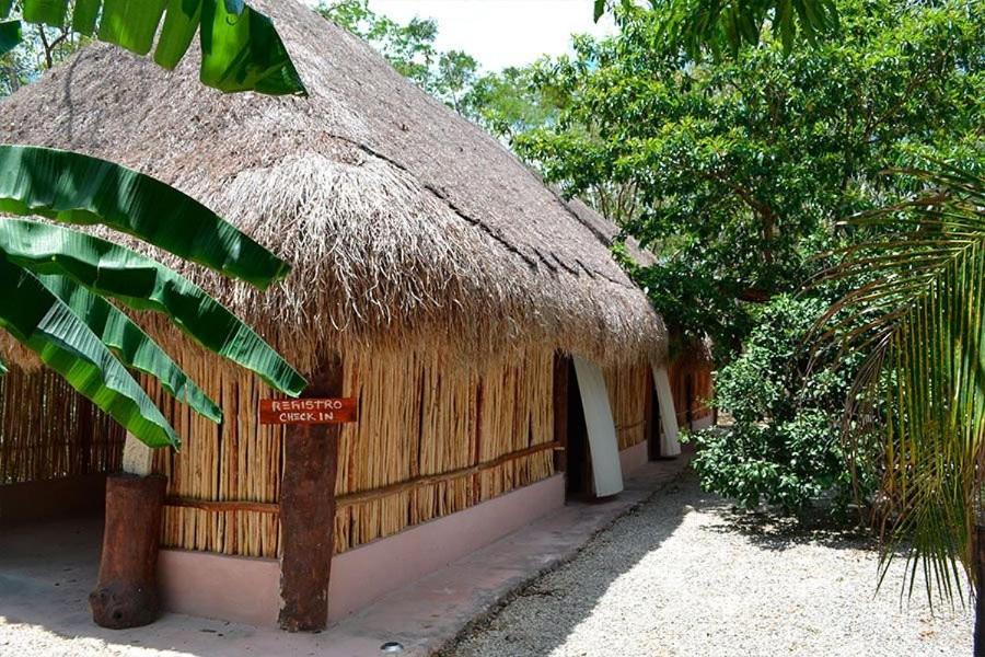 Kakao Cobá Hotel & Cenote Experience Kakao Cobá Hotel & Cenote Experience
