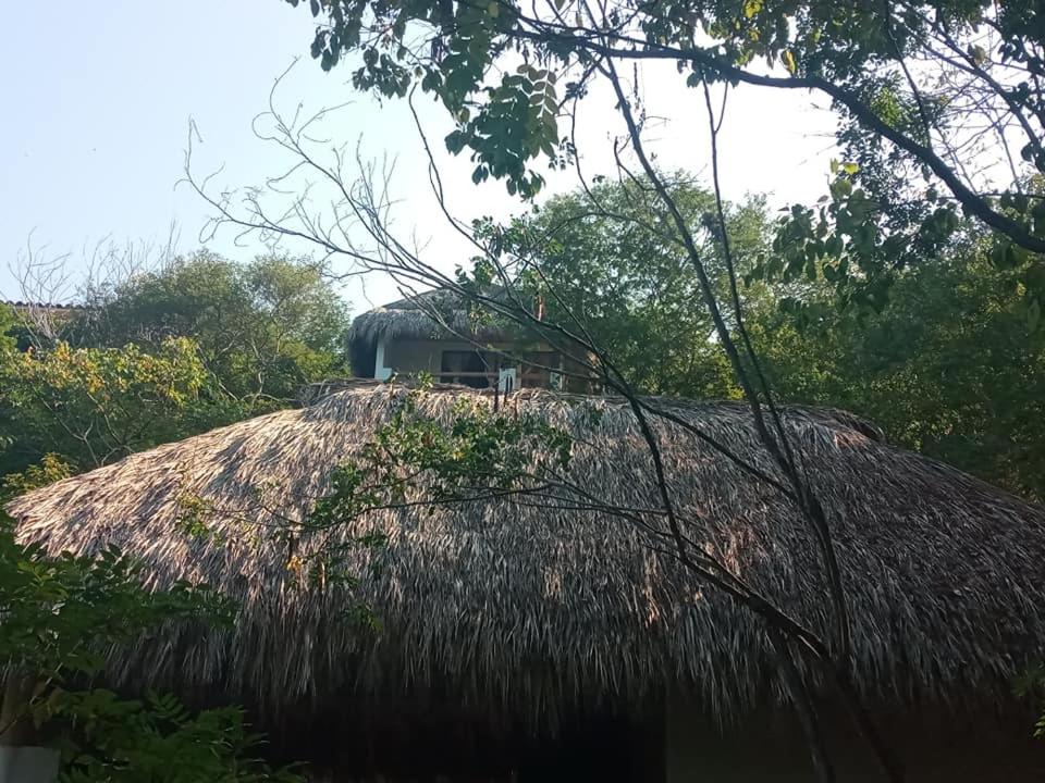 La Aldea Zipolite