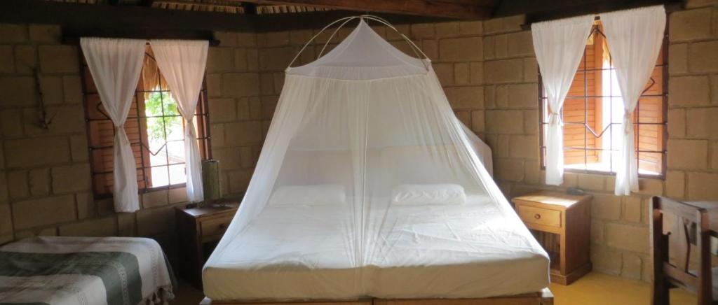 LA LOMA LINDA, Bungalows, Yoga and Feldenkrais, STARLINK INTERNET LA LOMA LINDA, Bungalows, Yoga and Feldenkrais, STARLINK INTERNET
