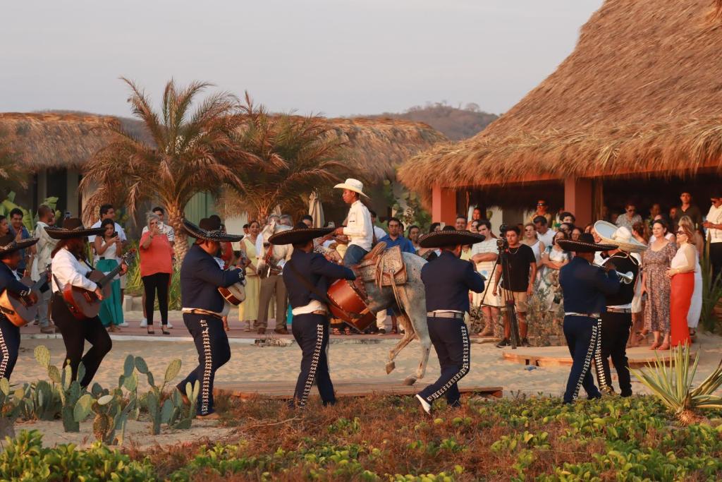 Lú Veé Oasis