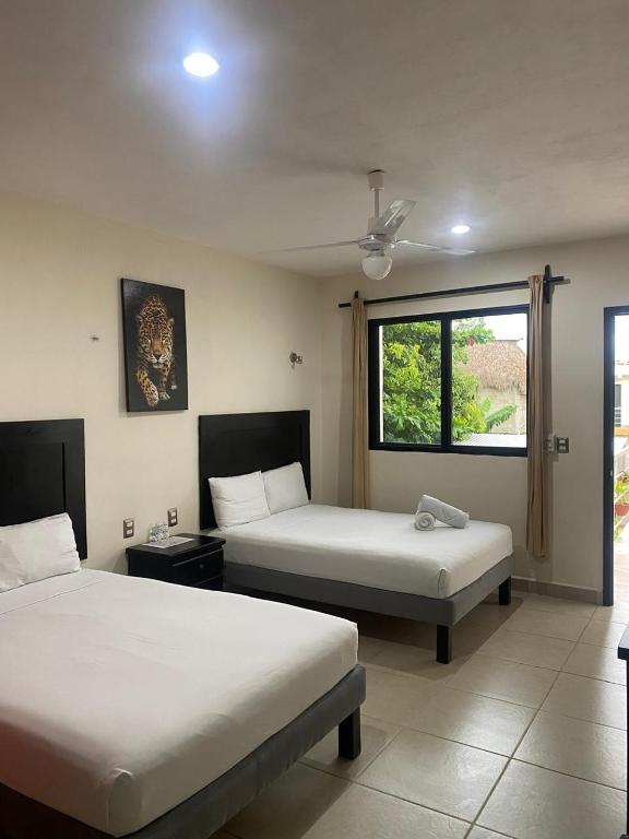 Luna Turquesa Hotel Apartments – Free Bikes Luna Turquesa Hotel Apartments - Free Bikes