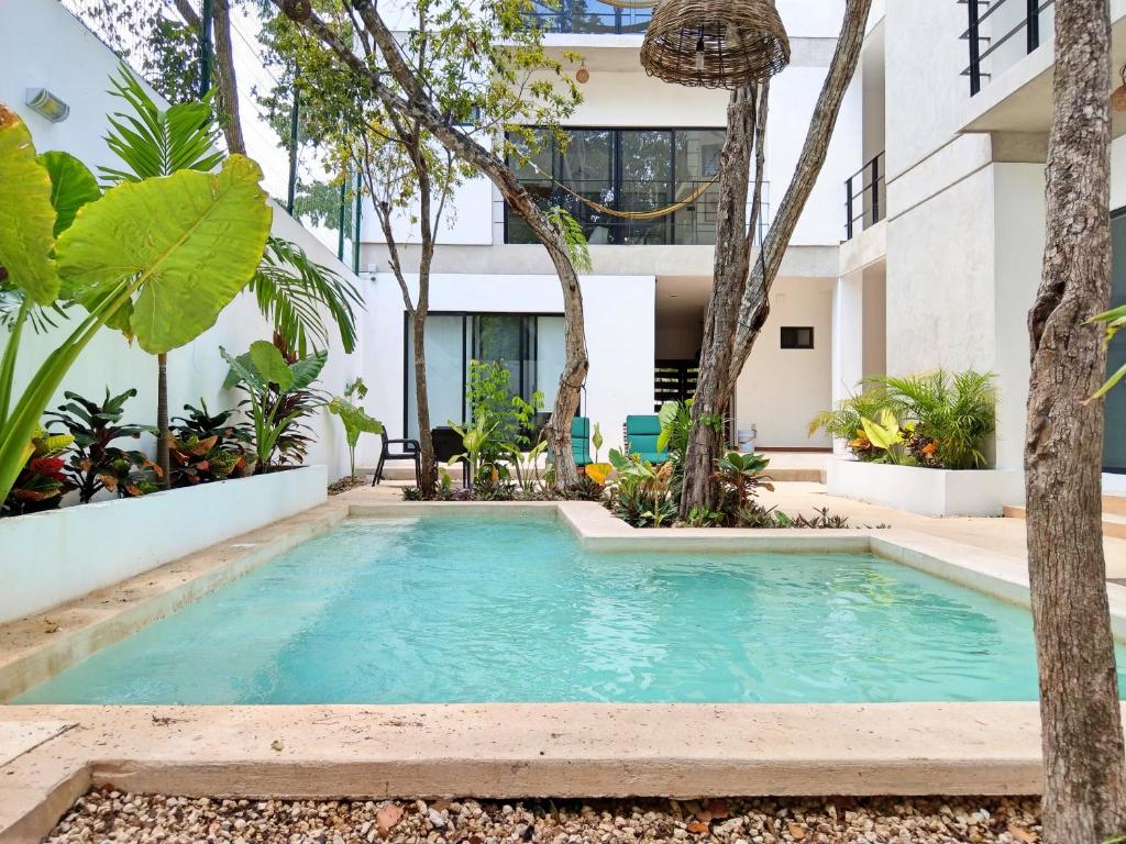 Mi Tulum Mi Tulum