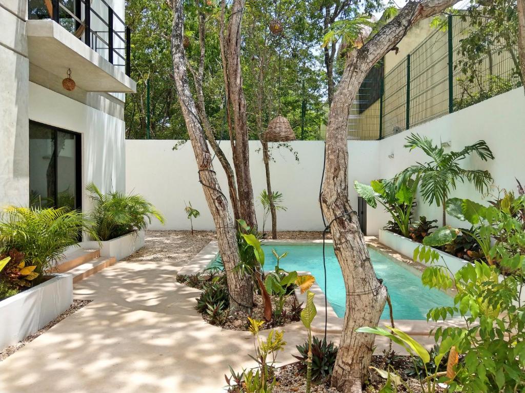 Mi Tulum Mi Tulum