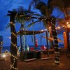 Norock club y Playa