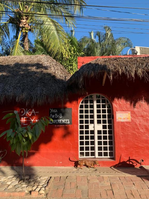 Oka Hey, Sayulita