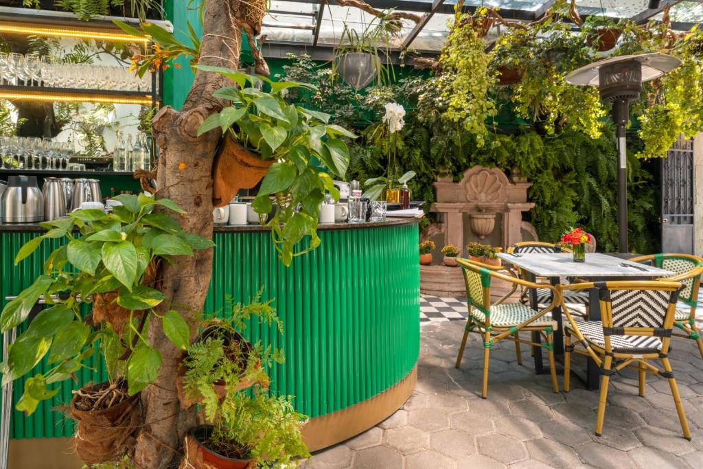 Orchid House Polanco Orchid House Polanco