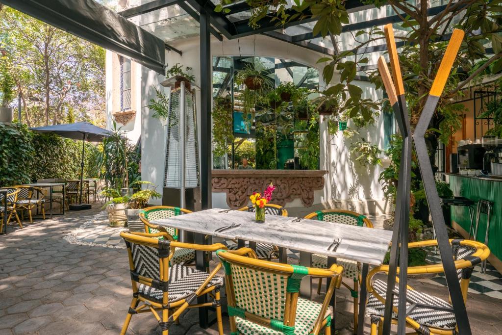 Orchid House Polanco Orchid House Polanco