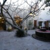 Orchid House San Miguel de Allende