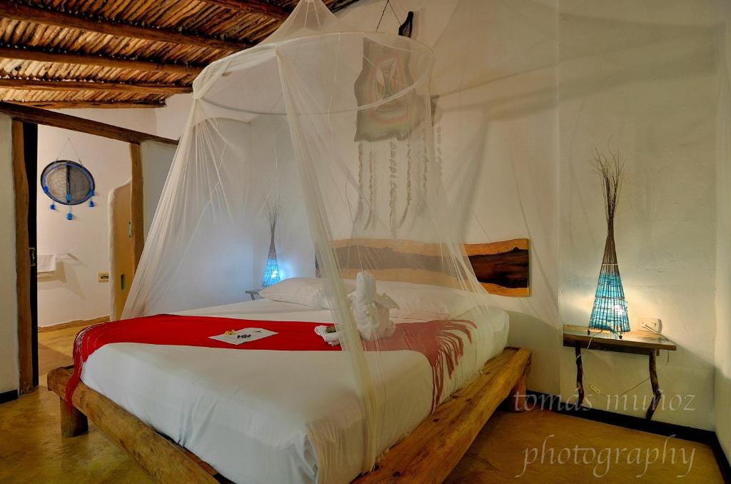 Pacha Tulum Pacha Tulum