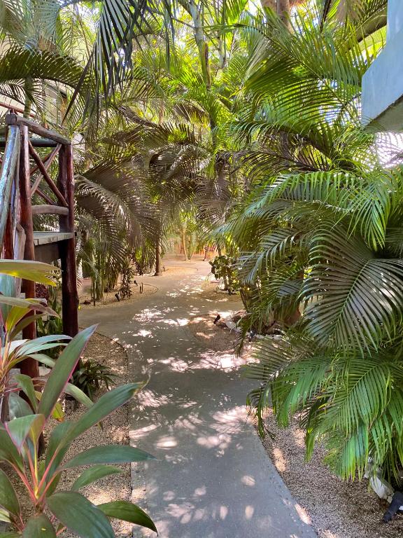 Pacha Tulum Pacha Tulum