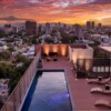 Paradise Flat Witgdl