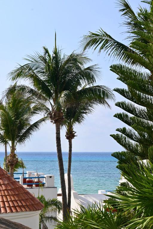 Pelicano Inn Playa del Carmen – Beachfront Hotel Pelicano Inn Playa del Carmen - Beachfront Hotel