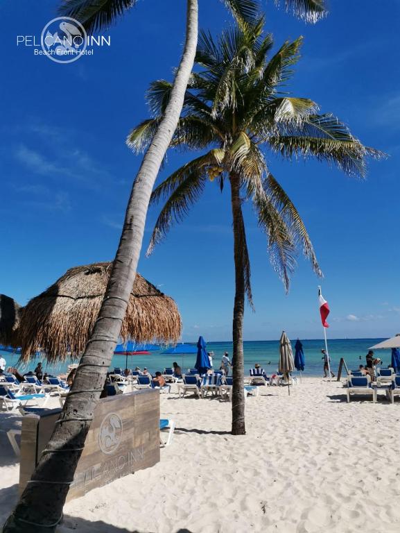 Pelicano Inn Playa del Carmen – Beachfront Hotel Pelicano Inn Playa del Carmen - Beachfront Hotel