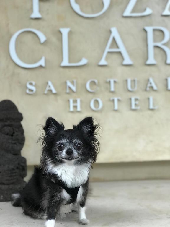 Poza Clara Sanctuary Poza Clara Sanctuary