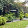 Pug Seal Polanco Anatole France