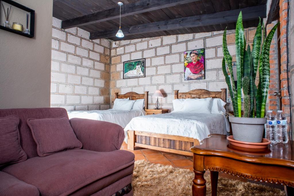 Rancho los olivos Habitaciones Campestres