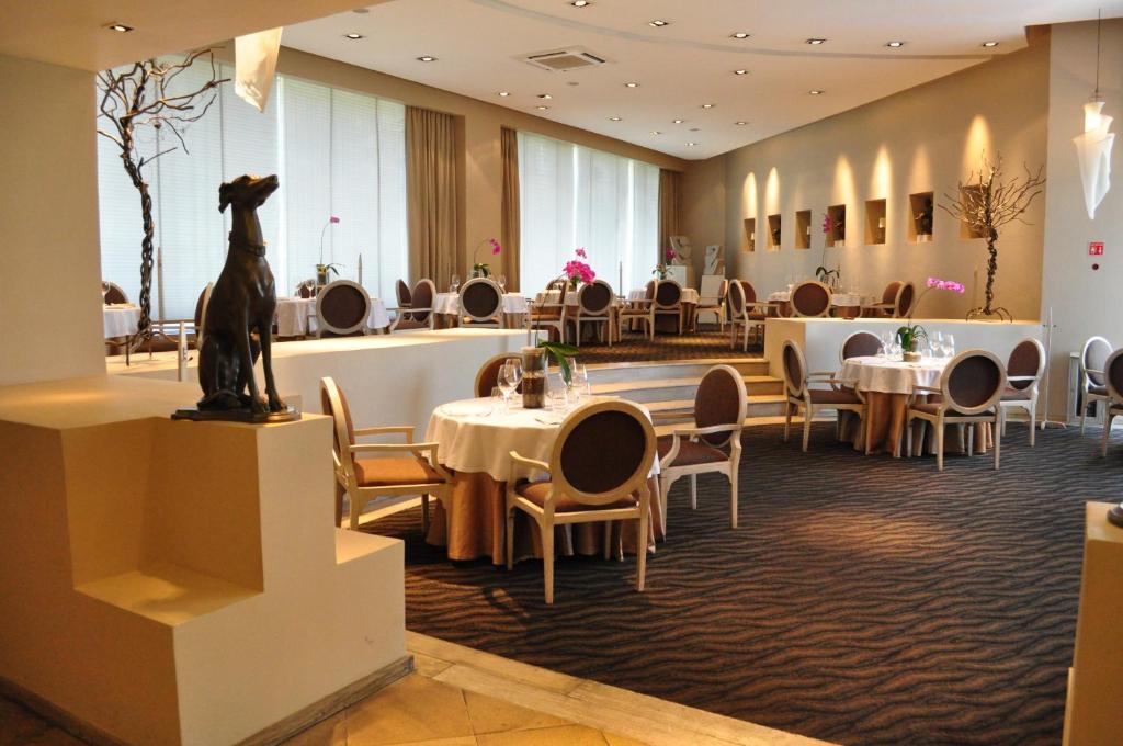 Royal Pedregal