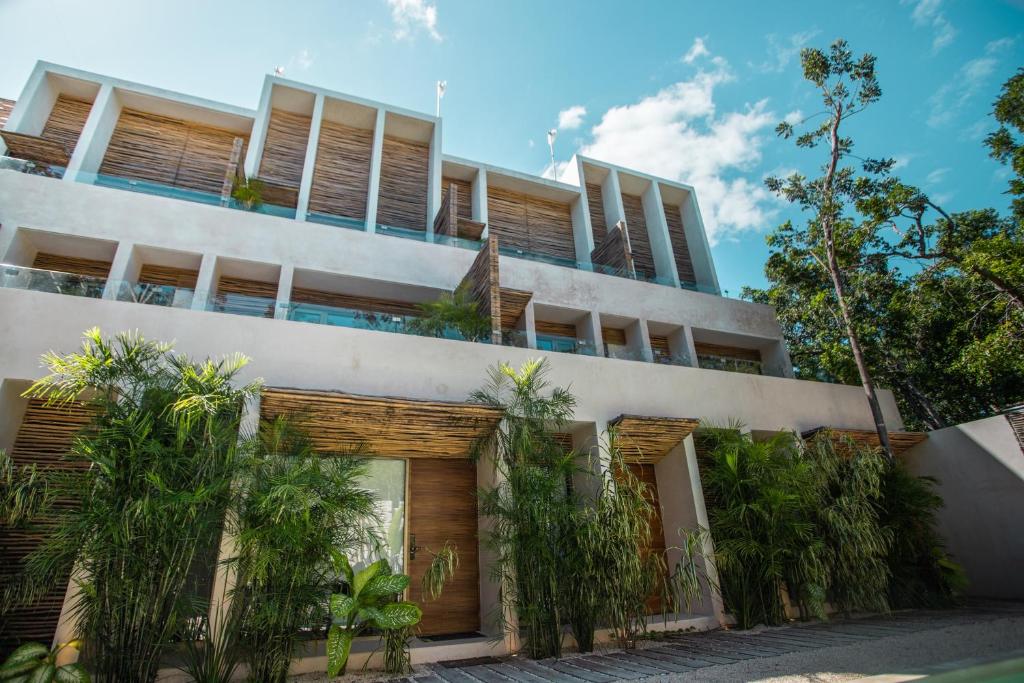 Samiik by Arkylab