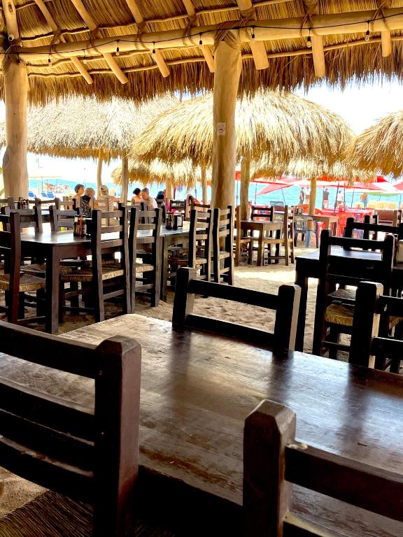 SeArena San Pancho SeArena San Pancho