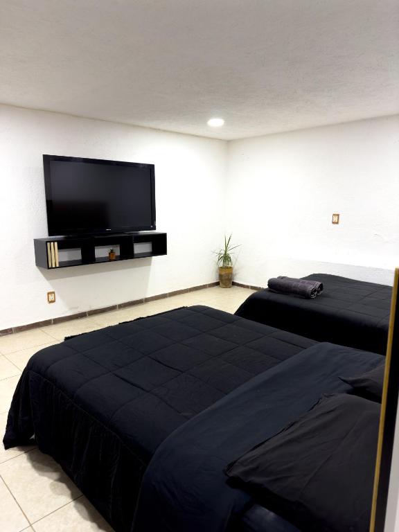 Suite Crestón