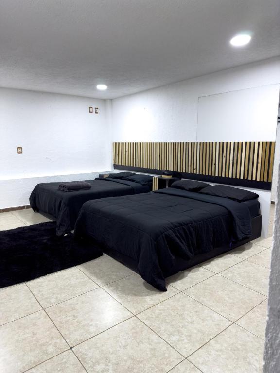 Suite Crestón