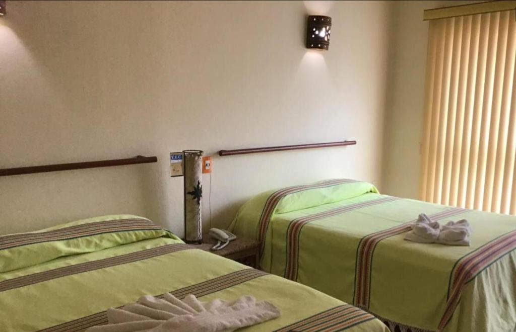 Suite Sofia Veracruz
