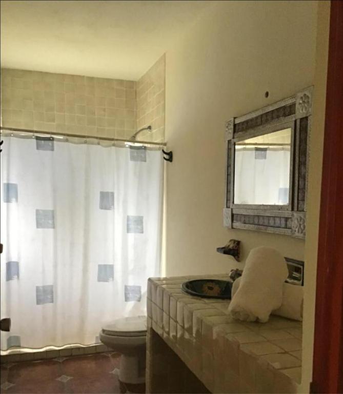Suite Sofia Veracruz
