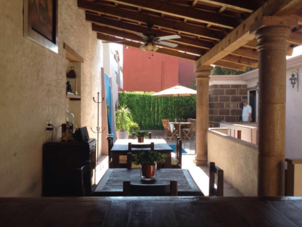 Suites colibri