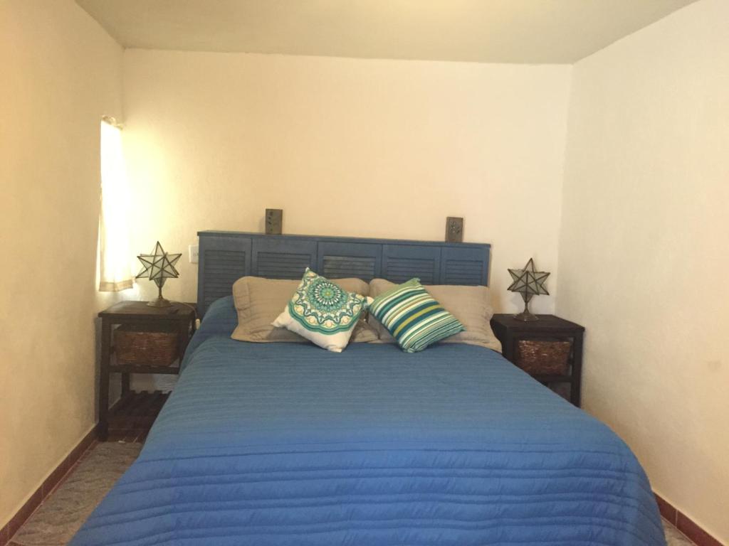 Suites colibri